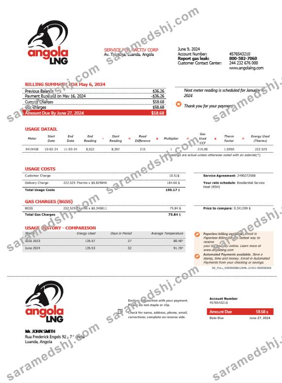 Angola LNG proof of address business utility bill template in Word and PDF format